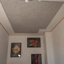 Lade das Bild in den Galerie-Viewer, WEMA Flüssigtapete
